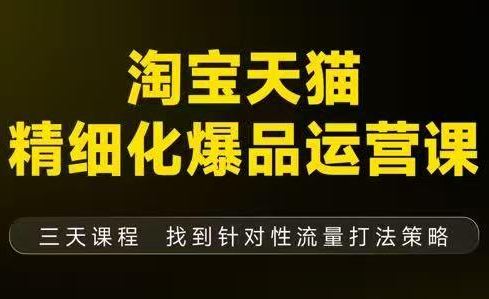 猫课子幽·淘宝天猫精细化爆品运营【音频+字幕+文档】(9月12-14杭州线下课)-云讯网创
