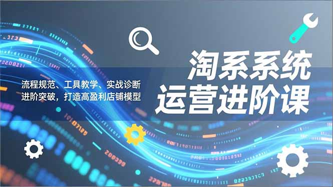 淘系系统运营进阶课2.0，流程规范、工具教学、实战诊断，进阶突破，打造高盈利店铺模型-云讯网创