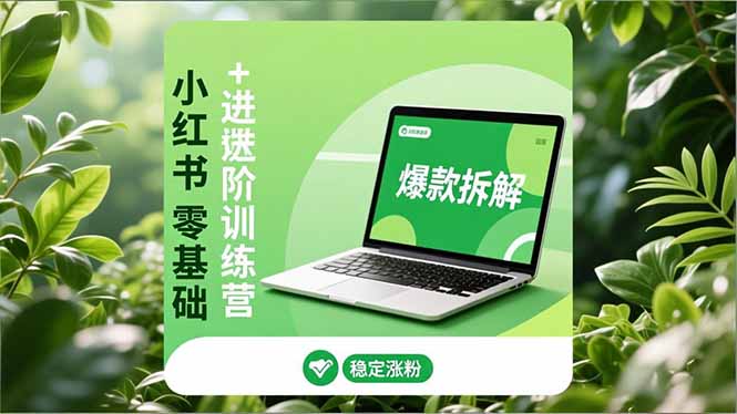 小红书零基础+高阶训练营:安全养号、爆款拆解、长效运营,实现稳定涨粉与变现-云讯网创