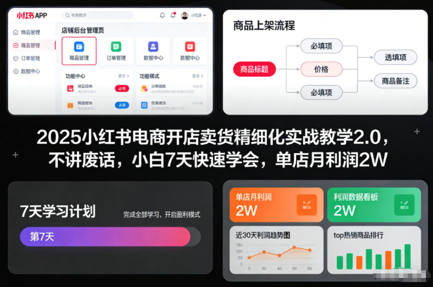 2025小红书电商开店卖货精细化实战教学2.0,不讲废话,小白7天快速学会,单店月利润2W-云讯网创