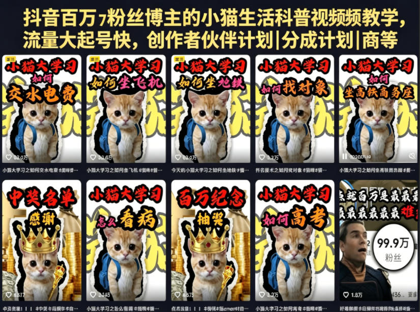 抖音百万粉丝博主的小猫生活科普视频教学，流量大起号快，创作者伙伴计划|分成计划|商单|收徒等-云讯网创