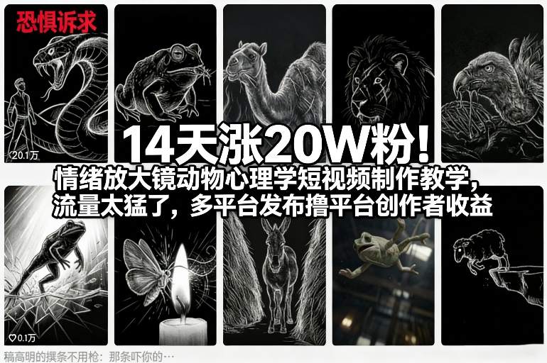 14天涨20W粉！情绪放大镜动物心理学短视频制作教学，流量太猛了，多平台发布撸平台创作者收益-云讯网创