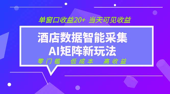 2026酒店数据采集ai智能矩阵新风口 低成本 高收益 当天见收益 单窗口20+-云讯网创