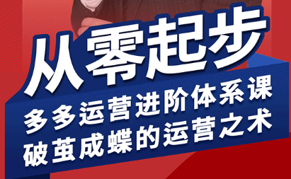 海神·拼多多运营进阶系统课(更新2026)-云讯网创