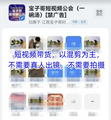 宝子哥头部团队短视频带货，以混剪为主，不需要真人出镜，不需要拍摄【更新26年1月】-云讯网创