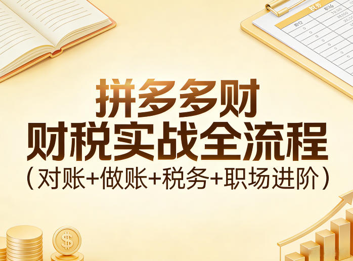 拼多多财税实战全流程(对账+做账+税务+职场进阶)-云讯网创