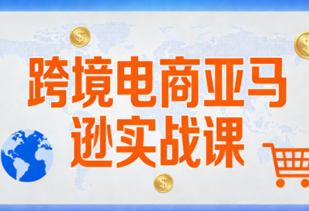 丝丝老师·跨境电商亚马逊实战课(更新2月)-云讯网创