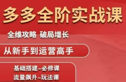 大炮·拼多多全阶实战课程(更新2026)-云讯网创