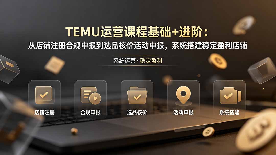 TEMU运营课程(基础+进阶-云讯网创