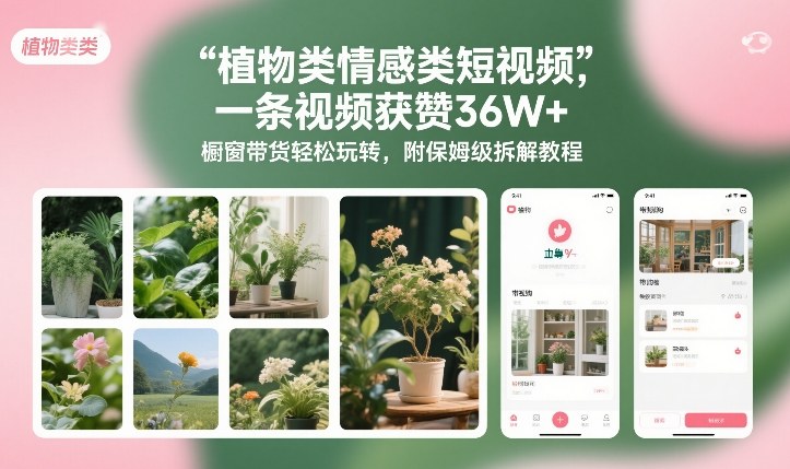 植物类情感类短视频,一条视频获赞36W+,橱窗带货轻松玩转,附保姆级拆解教程-云讯网创