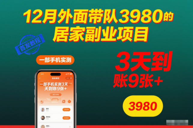 12月外面带队3980的居家副业项目，一部手机实测3天到账9张+，首发教程【揭秘】-云讯网创