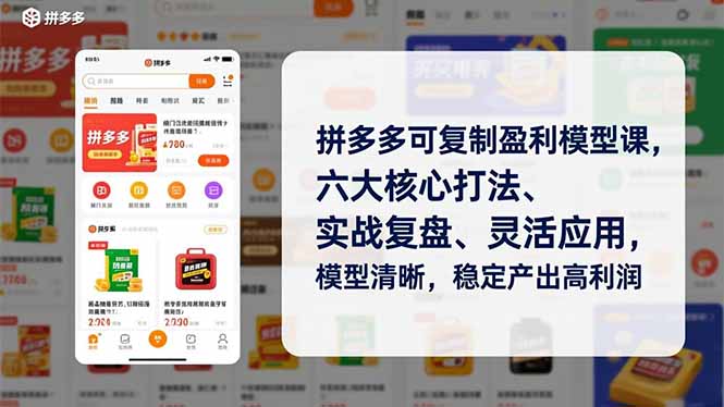 拼多多可复制盈利模型课，六大核心打法、实战复盘、灵活应用，模型清晰，稳定产出高利润-云讯网创