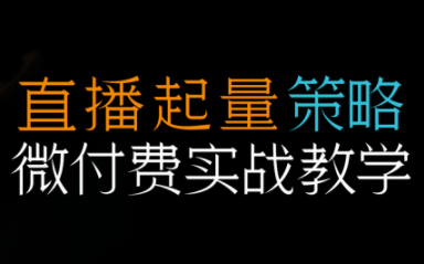半野老师·直播带货起量与微付费必学课视频号-云讯网创