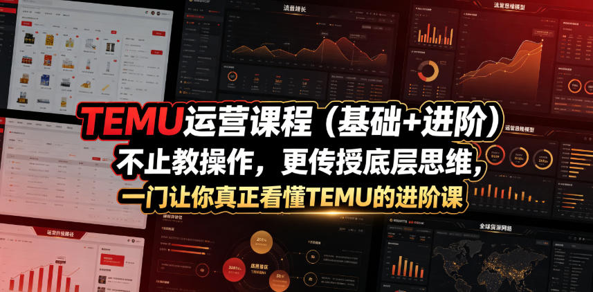 TEMU运营课程(基础+进阶)，不止教操作，更传授底层思维，一门让你真正看懂TEMU的进阶课-云讯网创