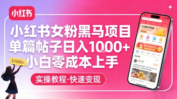 小红书女粉黑马项目，单篇帖子日入1k+，小白零成本上手-云讯网创