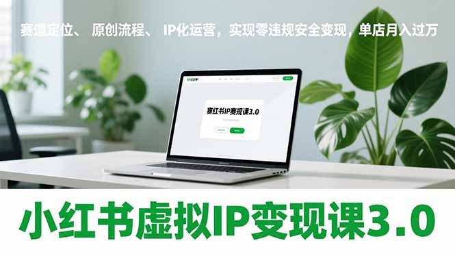 小红书虚拟IP变现课3.0，赛道定位、原创流程、IP化运营，实现零违规安全变现，单店月入过万-云讯网创