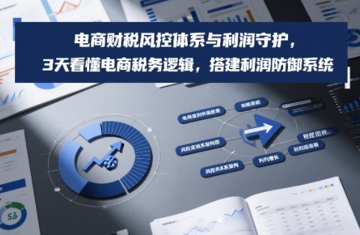 电商财税风控体系与利润守护，3天看懂电商税务逻辑，搭建利润防御系统-云讯网创