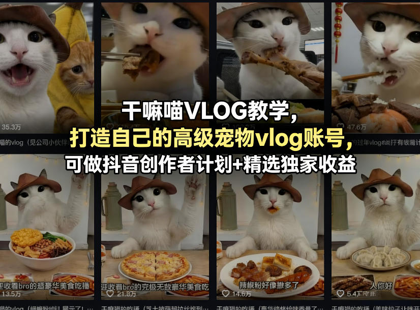 干嘛喵VLOG教学，打造自己的高级宠物vlog账号，可做抖音创作者计划+精选独家收益-云讯网创