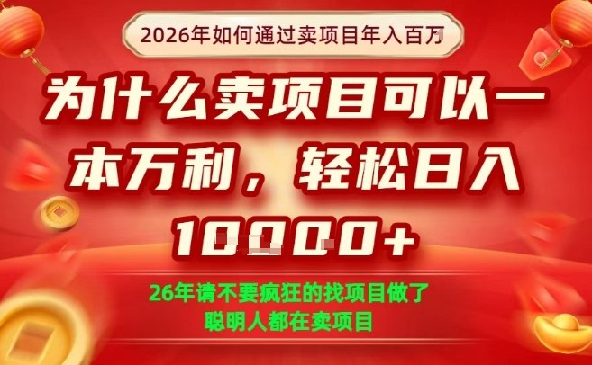 一单净利润1K+，26年想年入100个W，死磕卖项目就够了【揭秘】-云讯网创