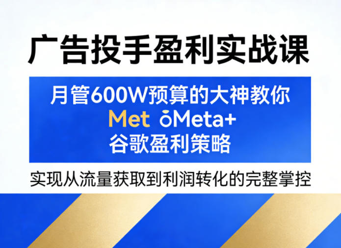 广告投手盈利实战课，月管600W预算的大神教你Meta+谷歌盈利策略，实现从流量获取到利润转化的完整掌控-云讯网创