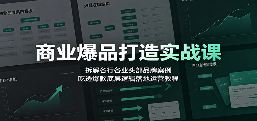 商业爆品打造实战课：拆解各行各业头部品牌案例，吃透爆款底层逻辑落地运营教程-云讯网创