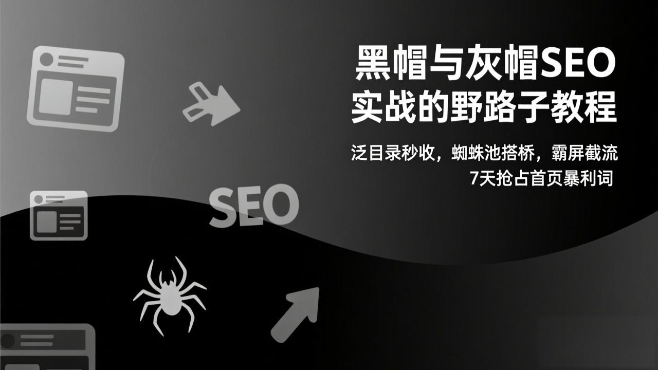 黑帽与灰帽SEO实战的野路子教程：泛目录秒收，蜘蛛池搭桥，霸屏截流，7天抢占首页暴利词-云讯网创