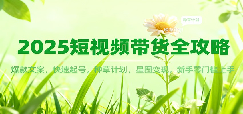 2025短视频带货全攻略：爆款文案，快速起号，种草计划，星图变现，新手零门槛上手-云讯网创