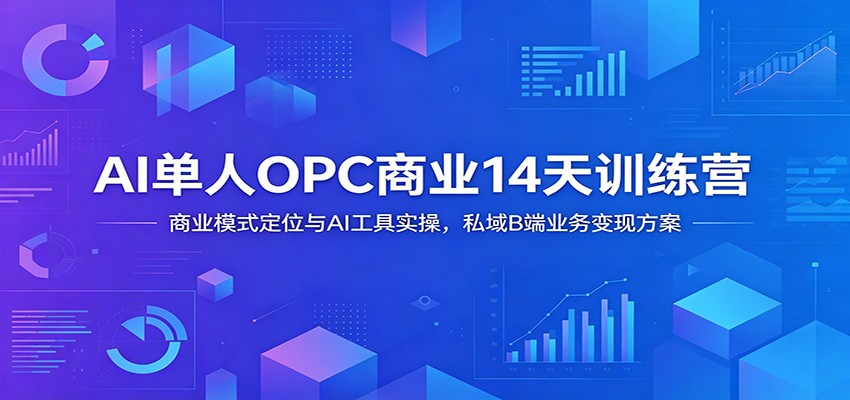 AI单人OPC商业14天训练营：商业模式定位与AI工具实操，私域B端业务变现方案-云讯网创
