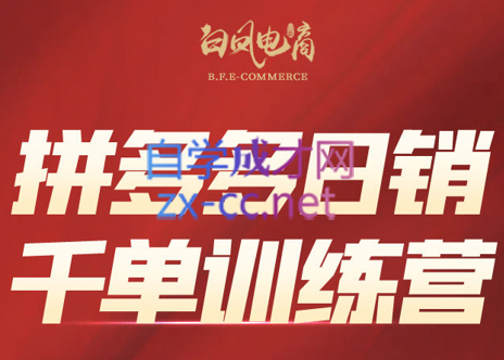 白凤电商·拼多多日销千单训练营(更新2月)-云讯网创