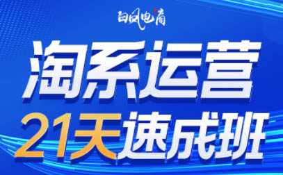 白凤电商·淘系运营21天速成班(更新4月)-云讯网创