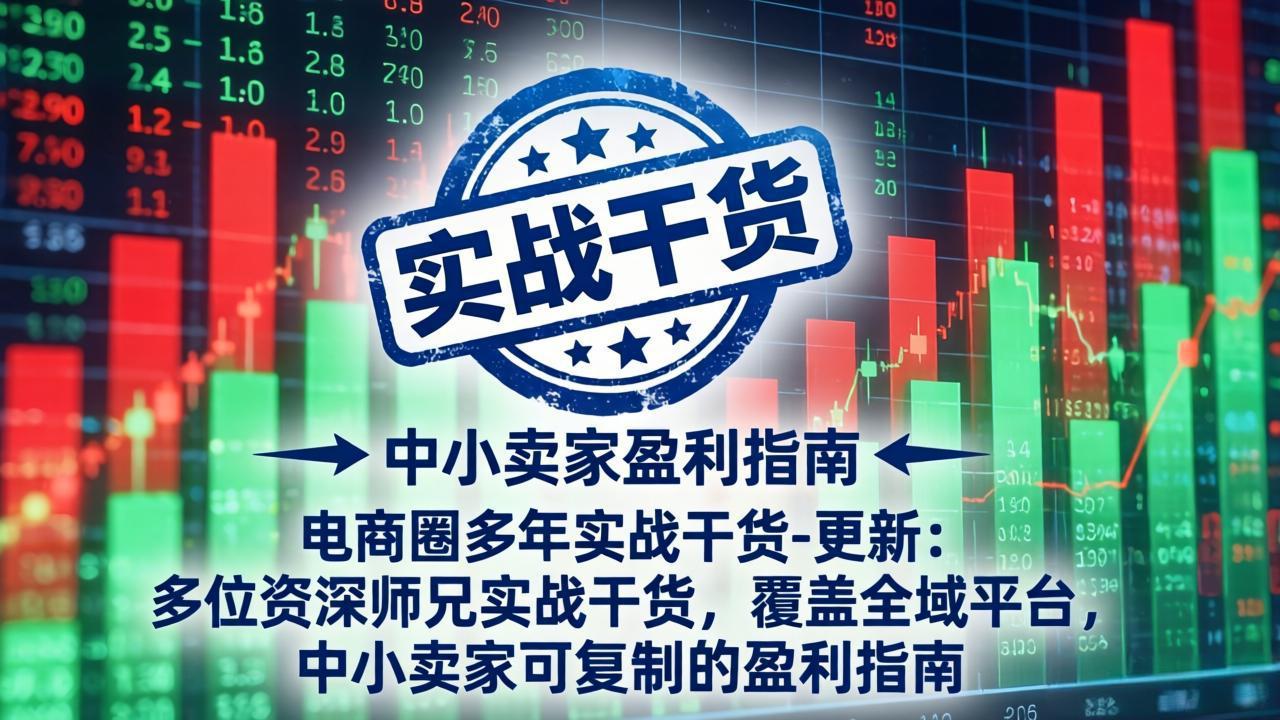 电商圈多年实战干货-更新4月:多位资深师兄实战干货,覆盖全域平台,中小卖家可复制的盈利指南-云讯网创