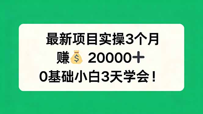 最新项目实操3个月，赚钱20000+，0基础小白3天学会！-云讯网创