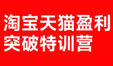 玺承·淘宝天猫盈利突破特训营(25年12月线下课)【音频+字幕】-云讯网创