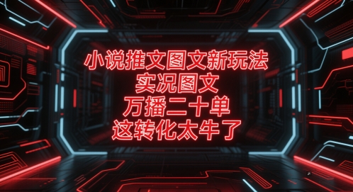 小说推文图文新玩法,实况图文,万播二十单,这转化太牛了!-云讯网创