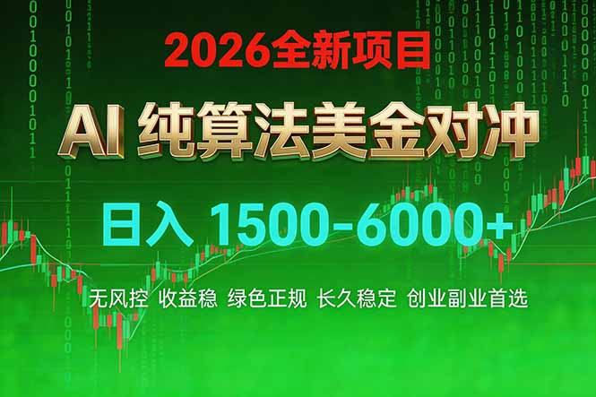 2026 全新美金对冲项目，不套平台赠金，不封号，纯算法对冲，日入 1500-6000+-云讯网创