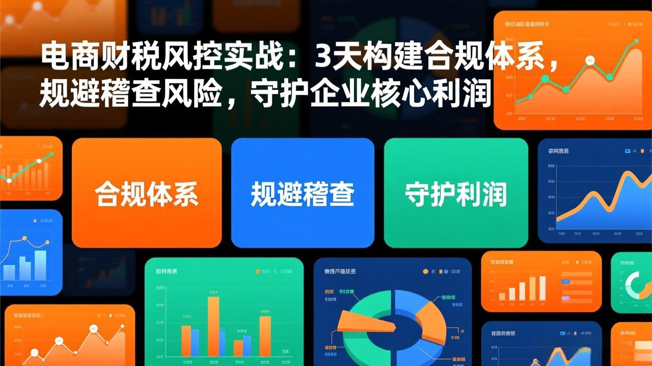 电商财税风控实战：3天构建合规体系，规避稽查风险，守护企业核心利润-云讯网创