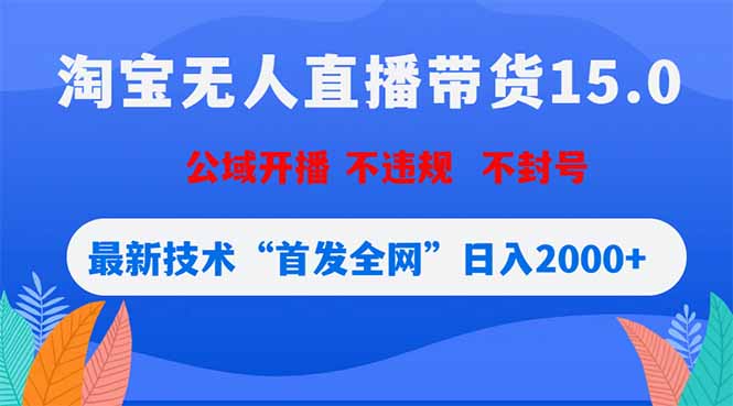 淘宝无人直播带货15.0，不封号，不违规，公域玩法，首发全网日入2000+-云讯网创