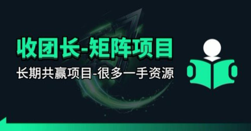 【团长合作】视频矩阵项目_招发手矩阵+剪辑师，共赢项目【揭秘】-云讯网创