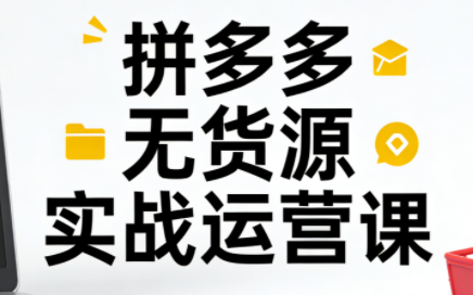 子枫老师·拼多多无货源实战运营课(更新12月)-云讯网创